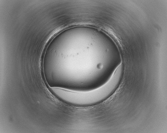 X0000115551181200911201754