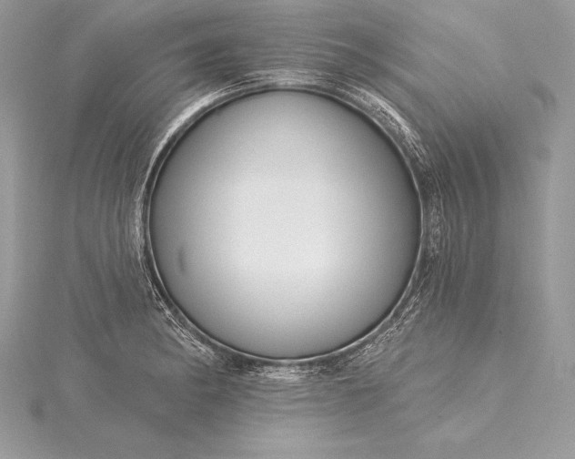 X0000115551182200911201754