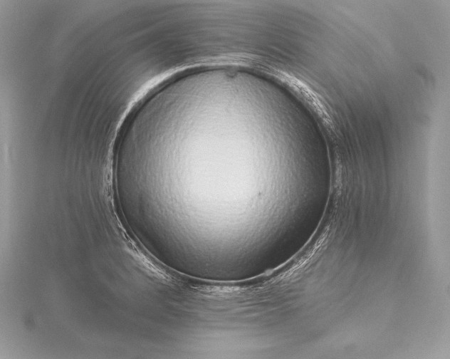 X0000115551184200911201754