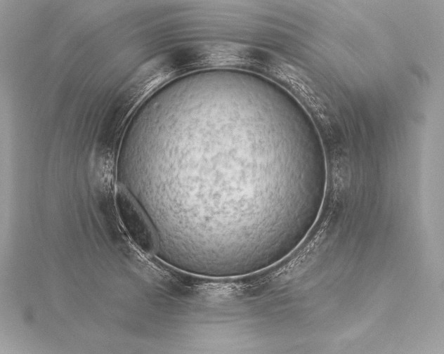 X0000115551185200911201754