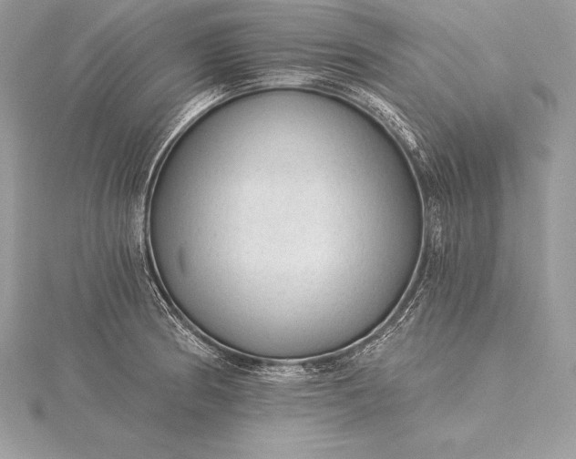 X0000115551186200911201754