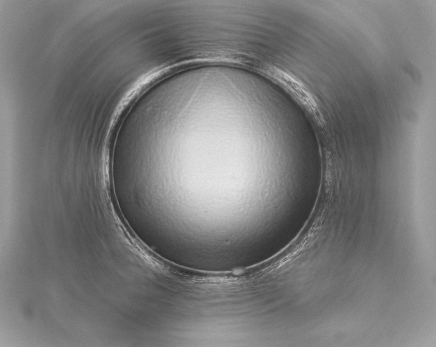 X0000115551188200911201754