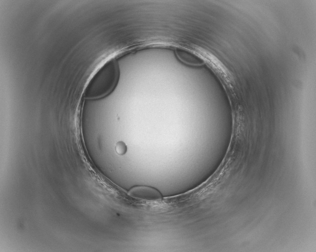 X0000115551190200911201754