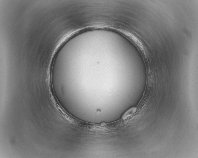 X0000115551191200911201754