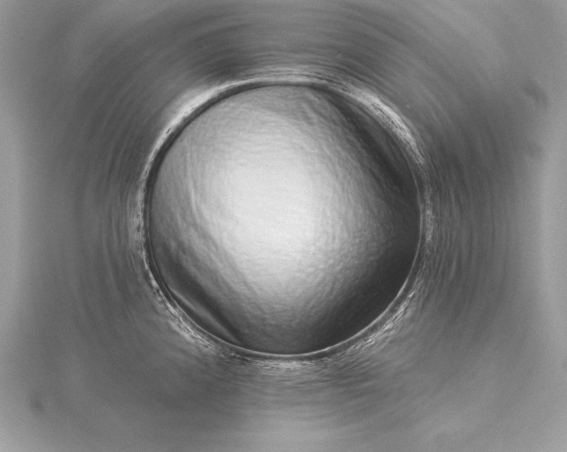 X0000115551192200911201754