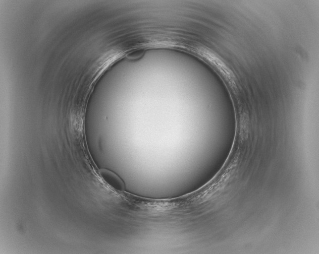 X0000115551193200911201754