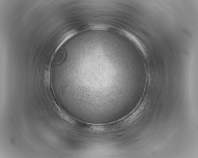 X0000115551194200911201754