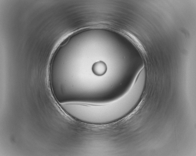 X0000115551196200911201754