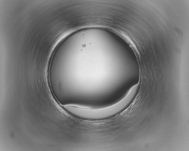 X0000115551197200911201754