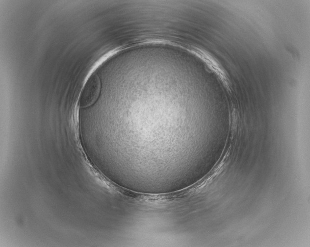 X0000115551198200911201754