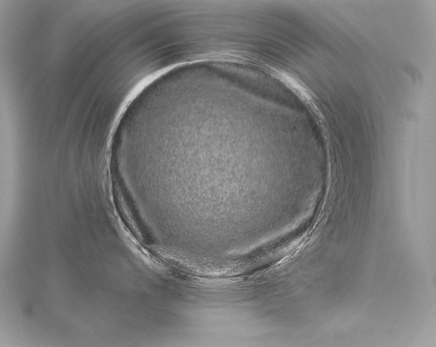 X0000115551200200911201754