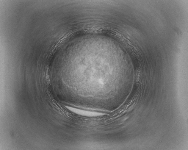 X0000115551202200911201753