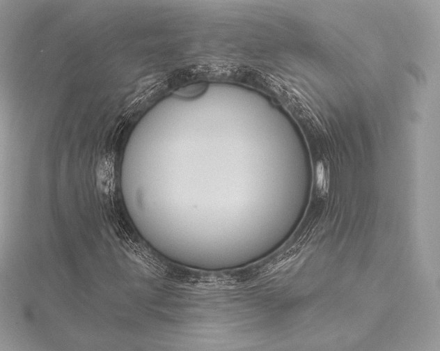 X0000115551203200911201753