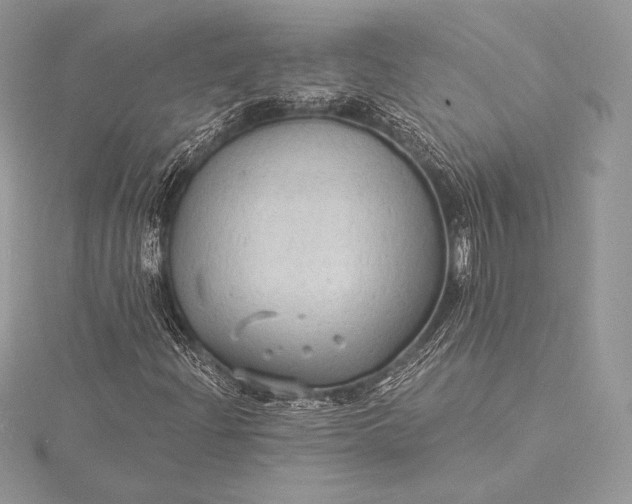 X0000115551204200911201753