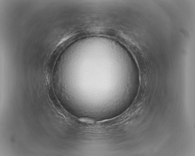 X0000115551206200911201753