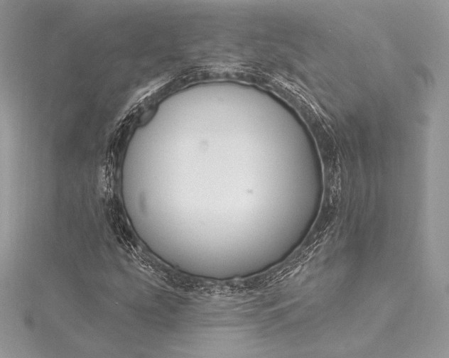 X0000115551207200911201753