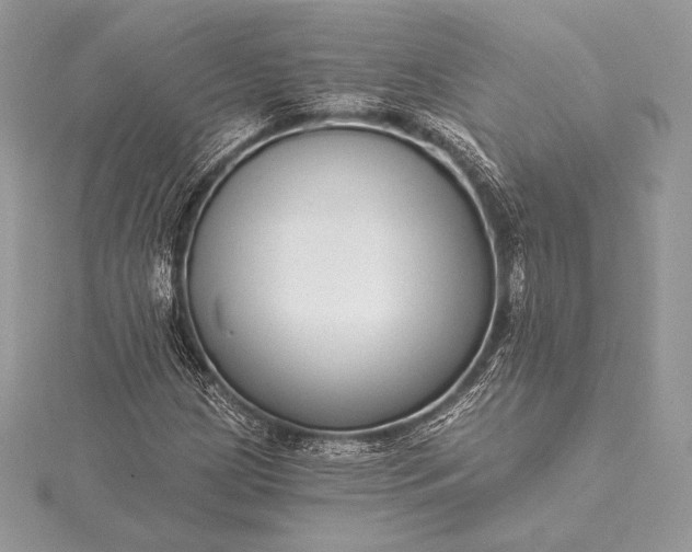 X0000115551209200911201753