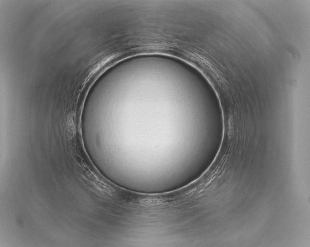 X0000115551212200911201753