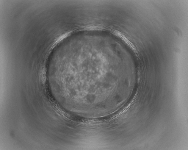 X0000115551213200911201753