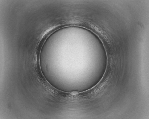 X0000115551214200911201753