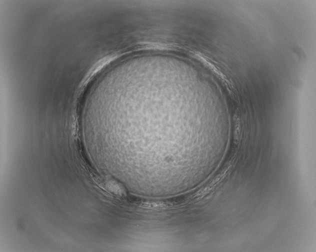 X0000115551215200911201753