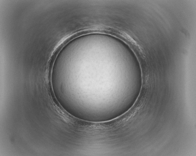 X0000115551216200911201753