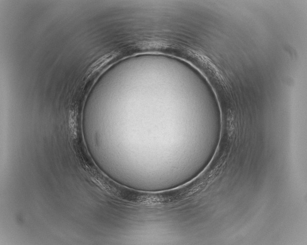 X0000115551217200911201754