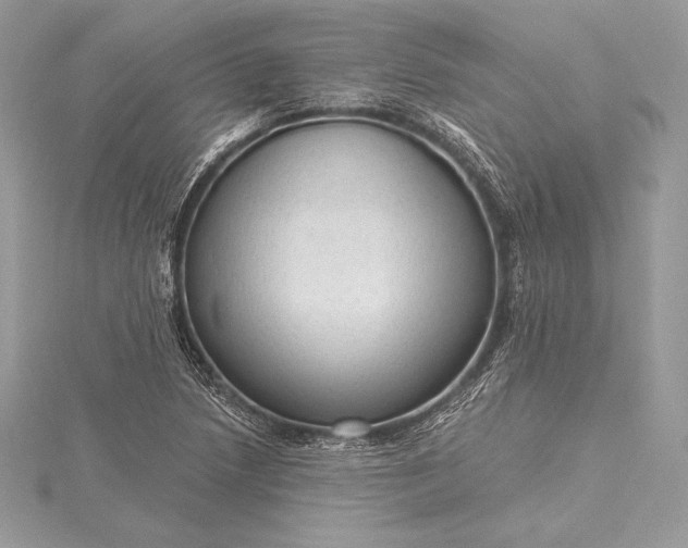 X0000115551218200911201754