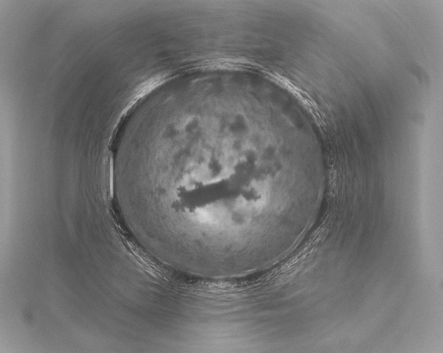 X0000115551219200911201754