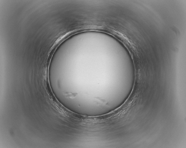 X0000115551220200911201754