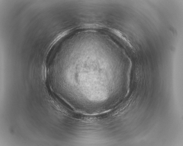 X0000115551221200911201754