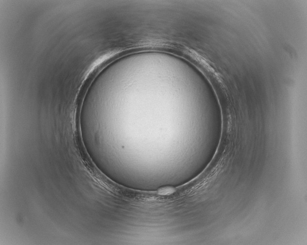 X0000115551222200911201754