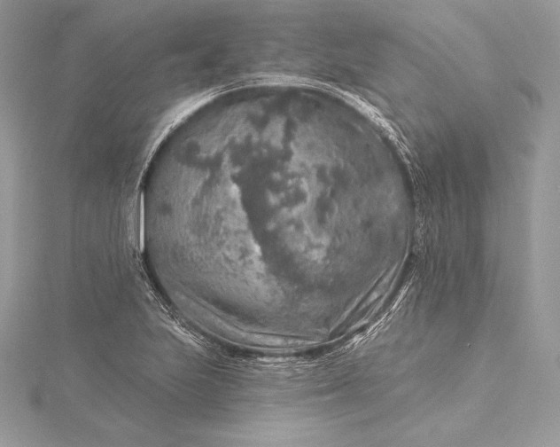 X0000115551223200911201754