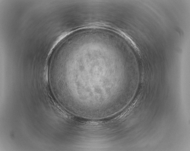 X0000115551224200911201754