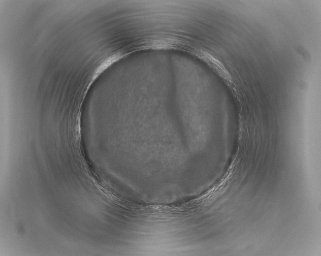 X0000115551226200911201754