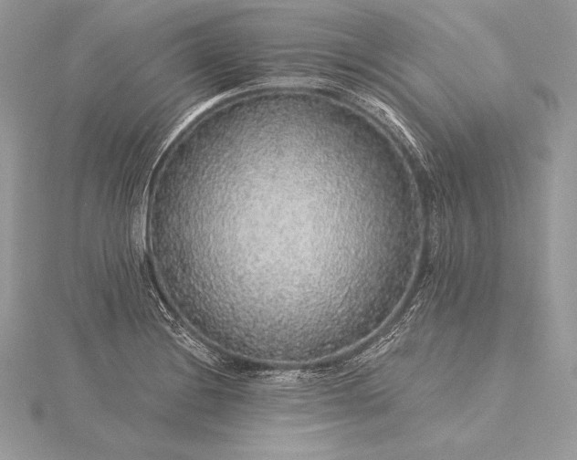 X0000115551228200911201754