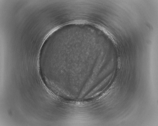 X0000115551229200911201754