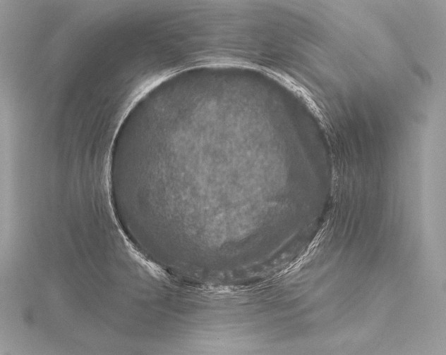 X0000115551231200911201754