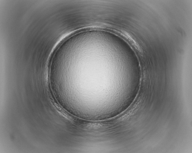 X0000115551232200911201754