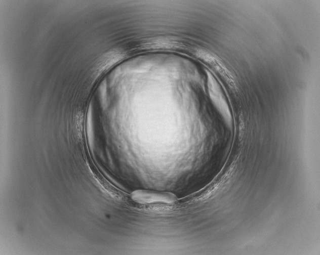 X0000115551233200911201754