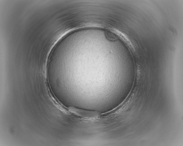 X0000115551236200911201754