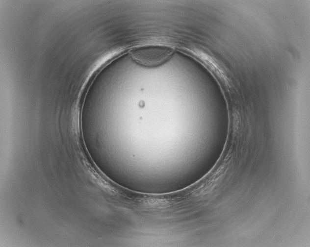 X0000115551238200911201754