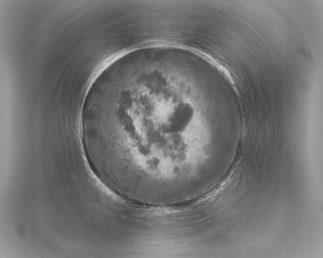 X0000115551239200911201754