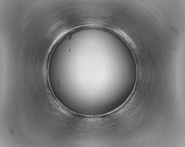 X0000115551240200911201754