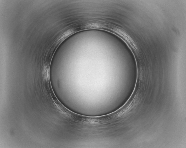 X0000115551241200911201754