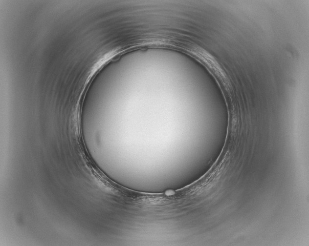 X0000115551242200911201754