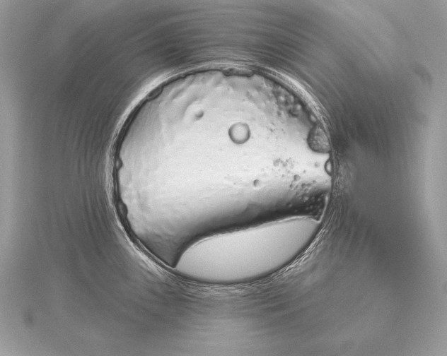 X0000115551243200911201754