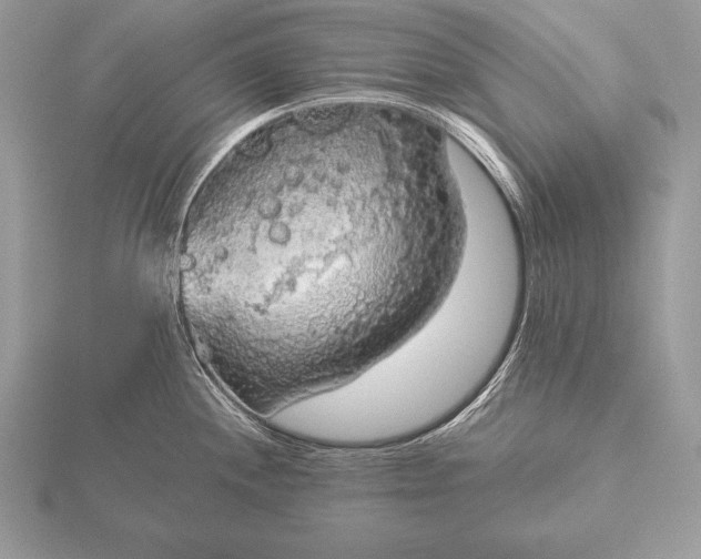 X0000115551244200911201754