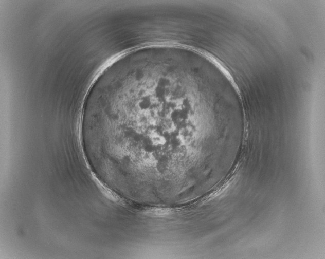 X0000115551245200911201754