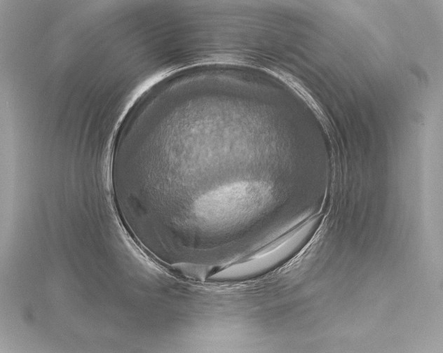 X0000115551246200911201754